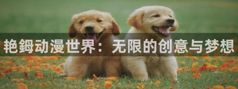 抖漫动漫app破解版：艳鉧动漫世界：无限的创意与梦想