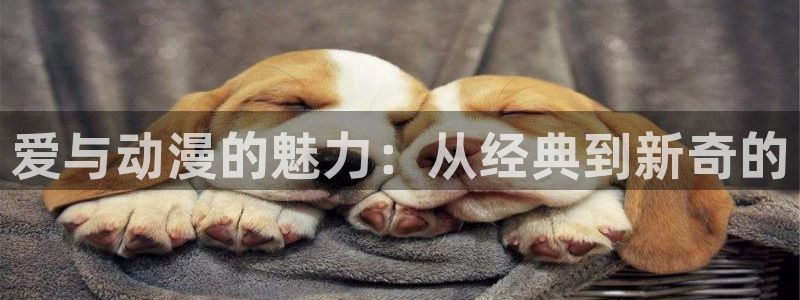 抖漫net：爱与动漫的魅力：从经典到新奇的