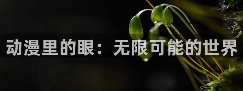 抖m动漫：动漫里的眼：无限可能的世界