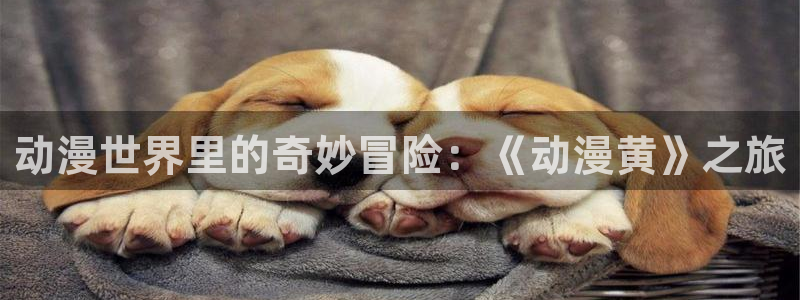 抖m番：动漫世界里的奇妙冒险：《动漫黄》之旅