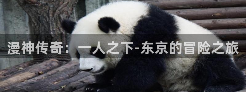 抖漫动画下载：漫神传奇：一人之下-东京的冒险之旅