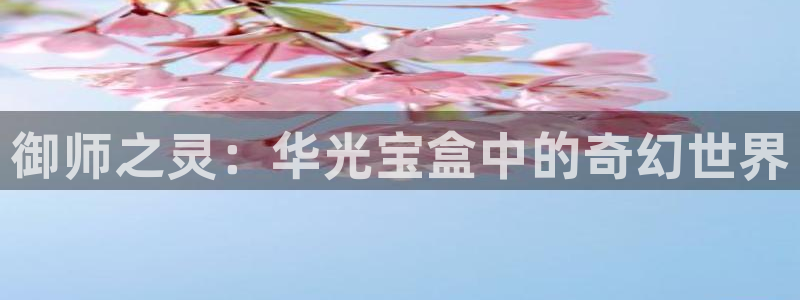 成人抖漫：御师之灵：华光宝盒中的奇幻世界